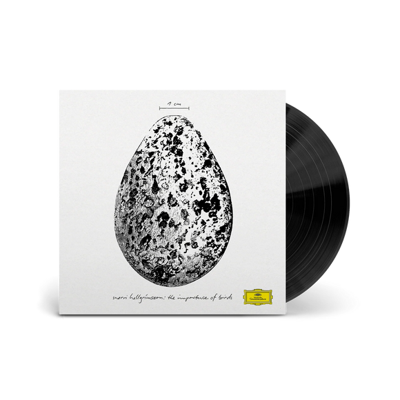HALLGRIMSSON,SNORRI – IMPORTANCE OF BIRDS (EP) - LP •