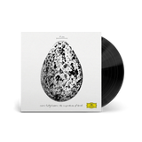 HALLGRIMSSON,SNORRI – IMPORTANCE OF BIRDS (EP) - LP •