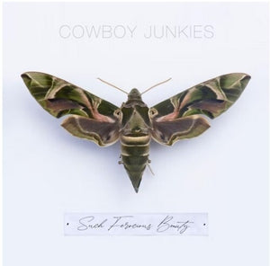 COWBOY JUNKIES – SUCH FEROCIOUS BEAUTY - CD •