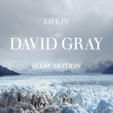 GRAY,DAVID – LIFE IN SLOW MOTION (20TH ANNIVERSARY GLACIAL BLUE) - LP •
