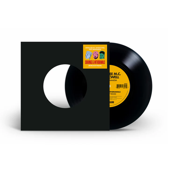 SKYZOO VIEWS OF A LIFETIME LP – Lunchbox Records