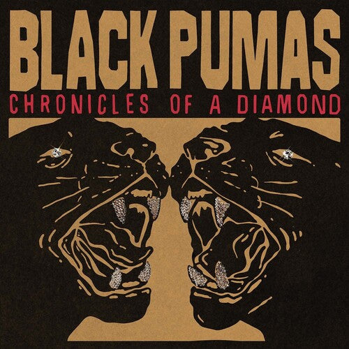 BLACK PUMAS – CHRONICLES OF A DIAMOND - CD •