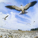 TAKANAKA,MASAYOSHI – SEYCHELLES (JAPANESE IMPORT) - CD •
