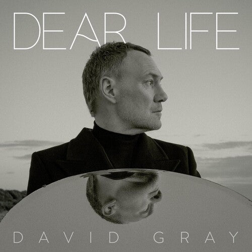 GRAY,DAVID – DEAR LIFE - CD •