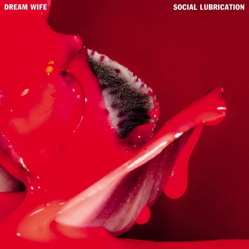 DREAM WIFE – SOCIAL LUBRICATION (INDIE EXCLUSIVE, DELUXE EDITION, RED & BLACK VINYL) - LP •