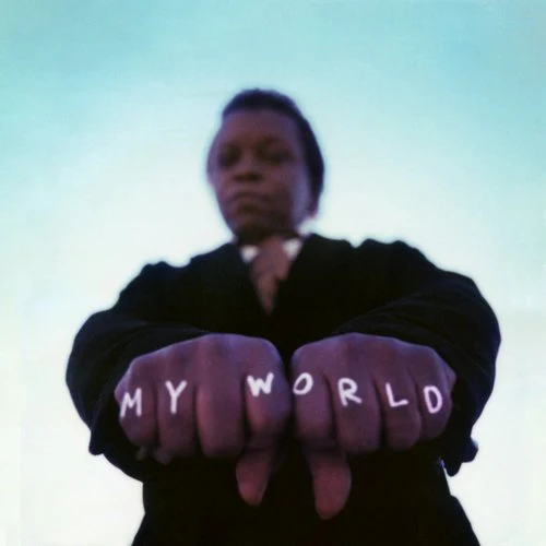 FIELDS,LEE & EXPRESSIONS – MY WORLD - LP •