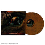 CARACH ANGREN – LAMMENDAM (ORANGE & BLACK MARBLED) - LP •