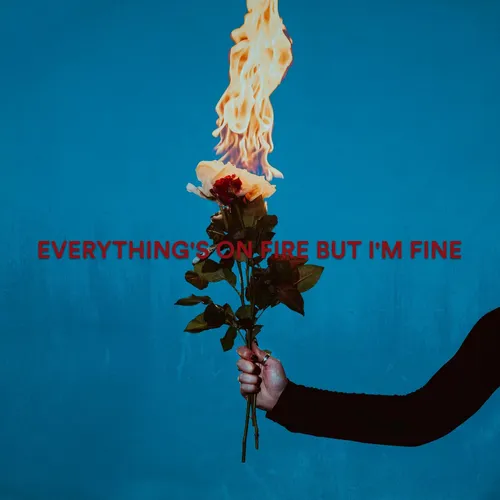 AS DECEMBER FALLS – EVERYTHING'S ON FIRE BUT I'M FINE - CD •