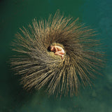 GABRIEL,PETER – OVO (BLUE/ORANGE HALF SPEED MASTER) (RSD25) - LP •