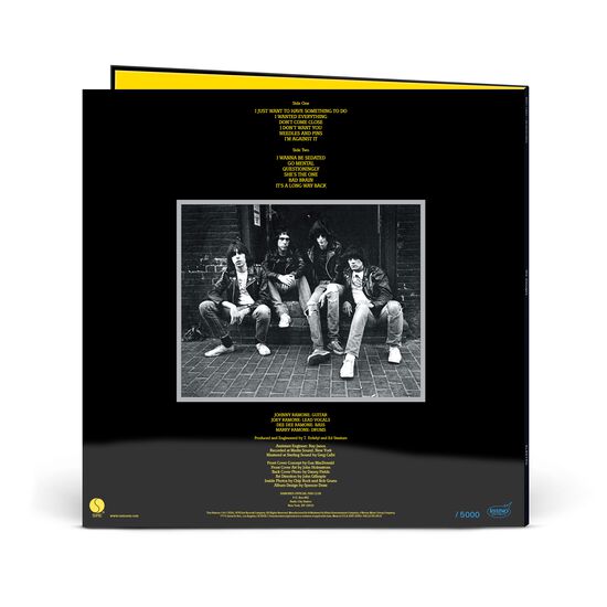 RAMONES レコード　極美品 The Ramones - Road to Ruin Vinyl - Etsy