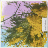 FOUR TET – INTO DUST (STILL FALLING) - LP •