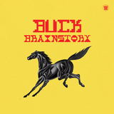BRAINSTORY – BUCK - TAPE •