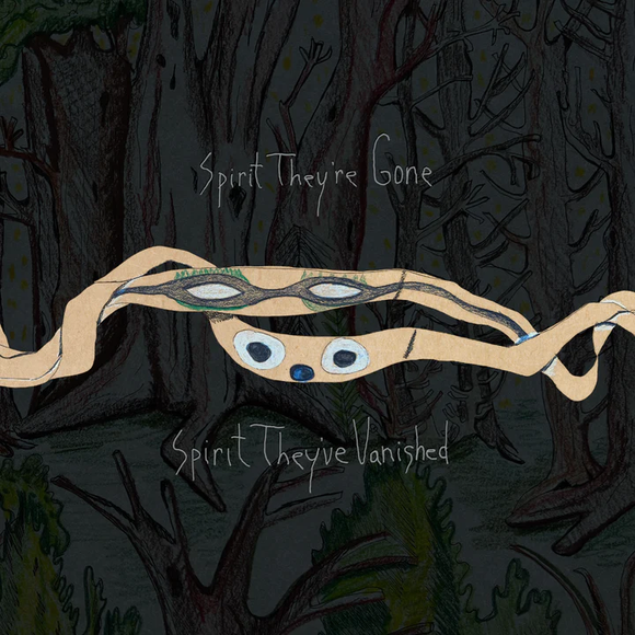 ANIMAL COLLECTIVE – SPIRIT THEY'RE GONE SPIRIT THEY'VE VANISHED - CD •