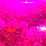 KOL,MELAINA – OKAY THAT'S A GREAT IDEA BECAUSE IF I DO THAT THEN - TAPE •