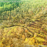 BENDIGO FLETHCER – CONSENSUAL WISDOM (OPAQUE BEIGE) - LP •