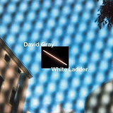 GRAY,DAVID – WHITE LADDER (2020 REMASTER) (WHITE VINYL) - LP •