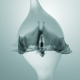 UNPROCESSED – ANGEL (CLEAR VINYL) - LP •