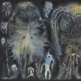 DINOSAUR JR. – THERE NEAR (BLACK VINYL) - LP •