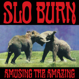 SLO BURN – AMUSING THE AMAZING (ETCHED B-SIDE) (RSD BLACK FRIDAY 2025) - LP •