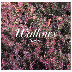 WALLOWS – SPRING  - CD •