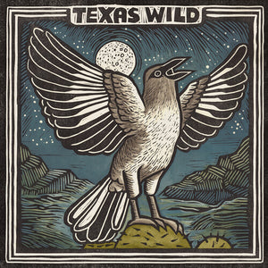 TEXAS WILD – VARIOUS - LP •