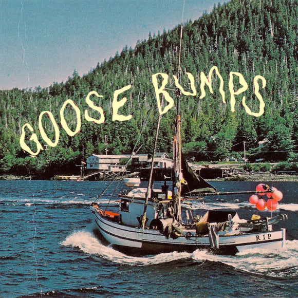 BOYSCOTT – GOOSE BUMPS - CD •