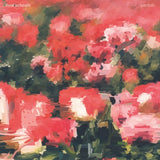 RIVAL SCHOOLS – PEDALS  (180 GRAM) - LP •