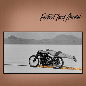 FASTEST LAND ANIMAL – EAST COAST WEST COAST IN BETWEEN (INDIE EXCLUSIVE) - LP •