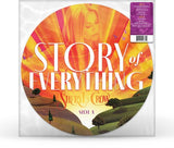 CROW,SHERYL – STORY OF EVERYTHING (LTD) (PICTURE DISC) - LP •