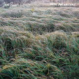 GUNN,STEVE – MUSIC FOR WRITERS (OPAQUE ORANGE) - LP •