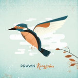 PRAWN – KINGFISHER  (BLUE W/ORANGE) - LP •