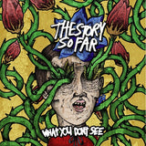STORY SO FAR – WHAT YOU DON'T SEE (CRAYONS MARBLE VINYL) - LP •