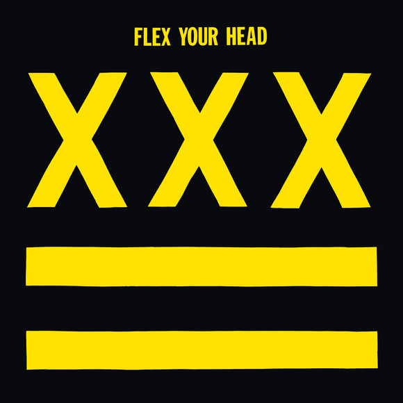 FLEX YOUR HEAD  – VARIOUS (YELLOW VINYL) - LP •