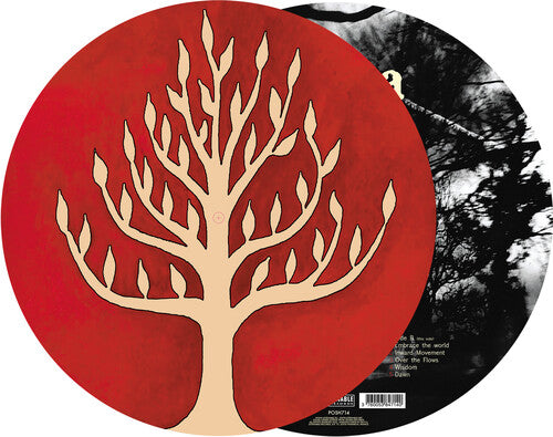 GOJIRA – LINK (PICTURE DISC) - LP •