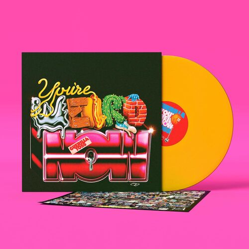 邦楽 My Slang Be High Range Moss Village LP GUERILLA TOSS YOU'RE WEIRD NOW (YELLOW) LP – Lunchbox Records