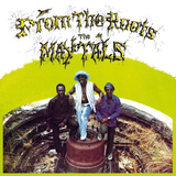 MAYTALS – FROM THE ROOTS (YELLOW & GREEN) - LP •