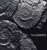 SUNDAYS – READING WRITING AND ARITHMETIC (BLACK VINYL) - LP •