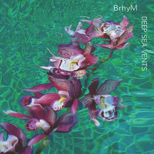 BRHYM – DEEP SEA VENTS - CD •