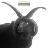 CULT – CULT (WHITE VINYL) - LP •