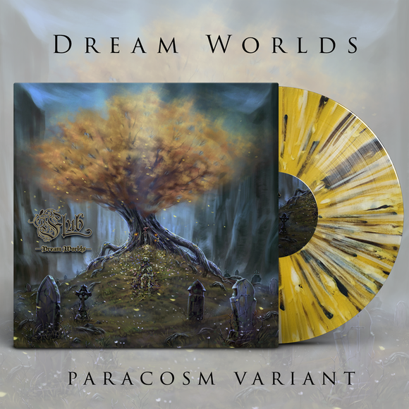 FLUB – DREAM WORLDS (PARACOSM VARIANT) - LP •