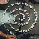 FIDDLEHEAD – BABY I'LL CHANGE (FIRST RUN CLUB ALEWIFE RED & WHITE) - LP •