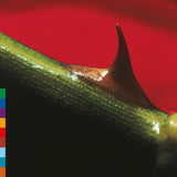 KHAN,NUSRAT FATEH ALI / MICHAEL BROOK – NIGHT SONG (ROSE LEAF GREEN) - LP •