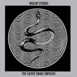 WAILIN STORMS – SILVER SNAKE UNFOLDS (BLUE/BLACK VINYL) - LP •