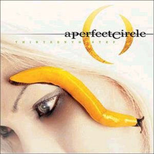 A PERFECT CIRCLE – THIRTEENTH STEP - LP •