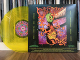 COFFIN TORTURE – BLENNOID (YELLOW VINYL) - LP •