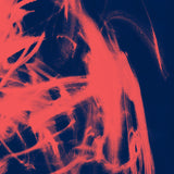 RIVAL CONSOLES – LANDSCAPE FROM MEMORY (INDIE EXCLUSIVE TRANSLUCENT VINYL) - LP •