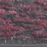 SLEEP TOKEN – EVEN IN ARCADIA (INDIE EXCLUSIVE BLENDED LAPIS LAZULI VINYL) - LP •