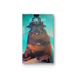 VIDEO GAME LO-FI  – DONKEY KONG COUNTRY 2 - TAPE •