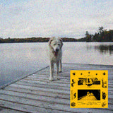 JAGUAR SUN – DAISY (BLACK AND YELLOW SWIRL) - LP •