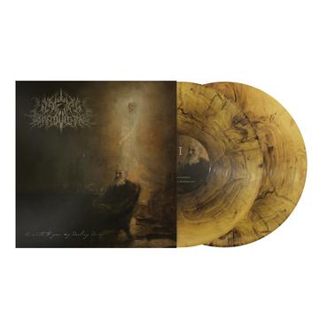 WAKE IN PROVIDENCE – WRITE TO YOU MY DARLING DECAY (DECAYING MARBLE VINYL) - LP •